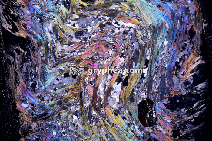 Micaschiste à sillimanite LPA x1,5 - gryphea.org